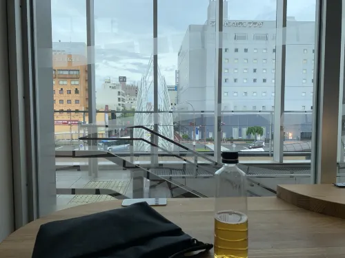 Yonago Washington Hotel Plaza Photos
