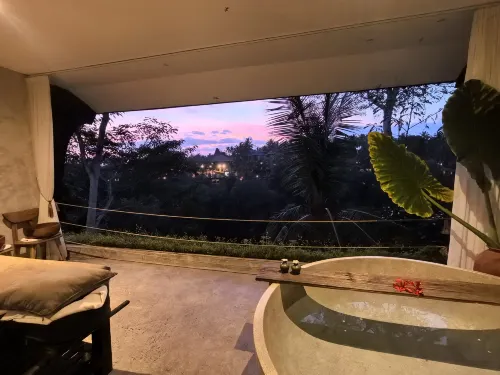 The Hidden Paradise Ubud Photos
