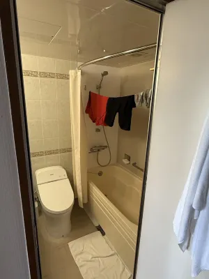 International Garden Hotel Narita Rooms Photos