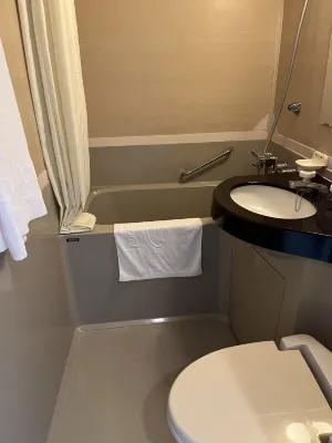 Narita U-City Hotel Kamar Photos