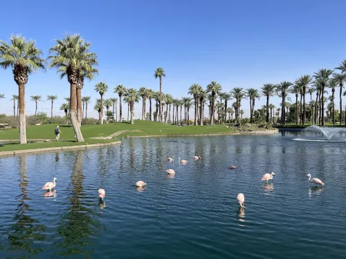 JW Marriott Desert Springs Resort & Spa Photos
