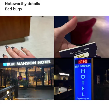 Blue Mansion Hotel Photos