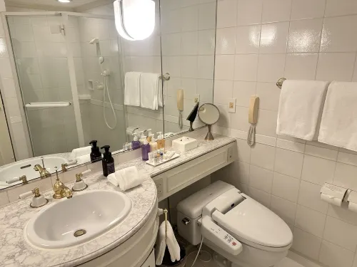 Dai-Ichi Hotel Tokyo Rooms Photos