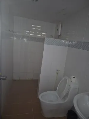 Phi Phi Cozy Seafront Resort Chambres Photos