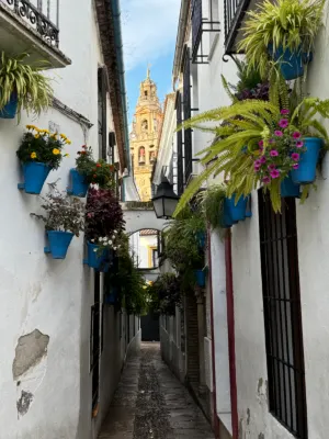 Líbere Córdoba Patio Santa Marta Photos