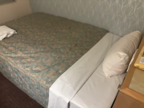Kawagoe Daiichi Hotel Zimmer Photos