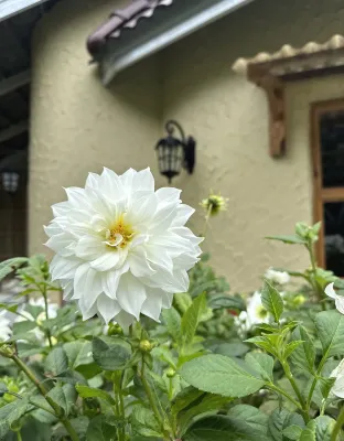 Jade Garden - Secret Courtyard in Saigon Photos