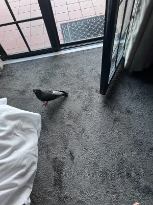 Knights Inn Photos