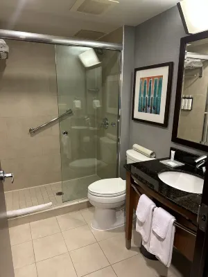 Hyatt Place New York/Midtown-South Chambres Photos
