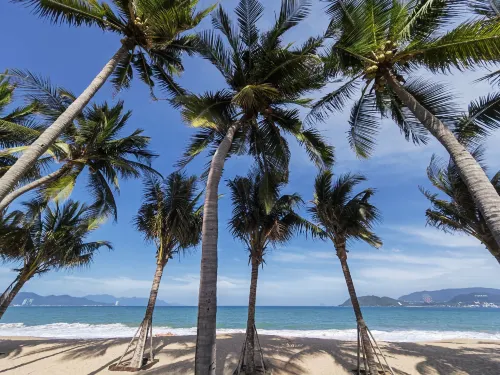Libra Hotel Nha Trang Рядом с отелем Photos