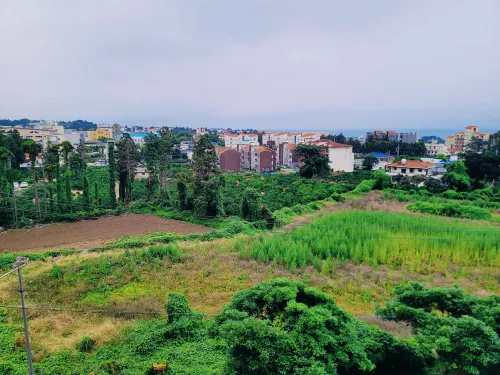 Jungmoon City Hotel & J-Hill Hotel Khu vực công cộng Photos