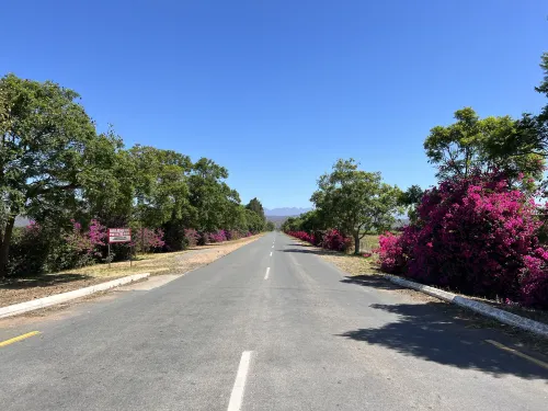 Protea Hotel Oudtshoorn Riempie Estate Espaces publics Photos