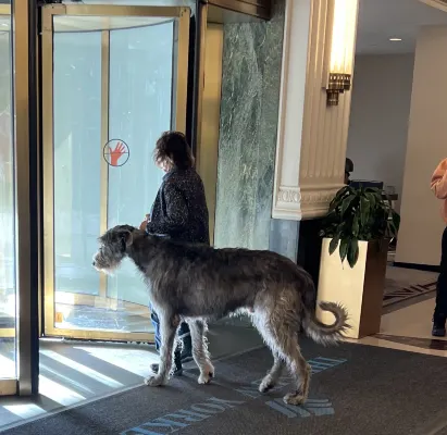 The New Yorker A Wyndham Hotel Photos