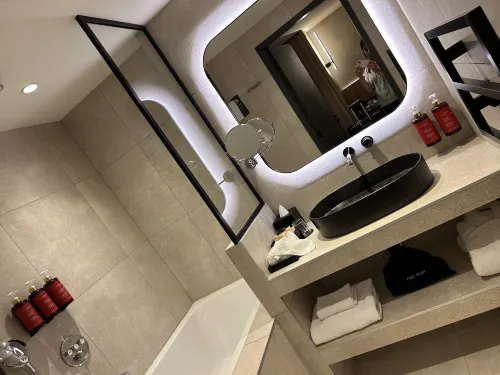 Pullman Lyon Chambres Photos