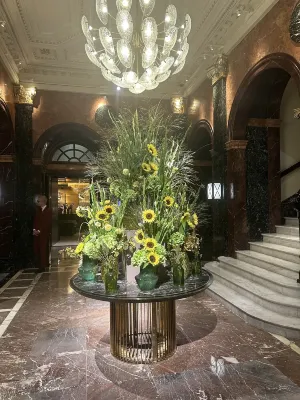 Mandarin Oriental Hyde Park, London Aree comuni Photos