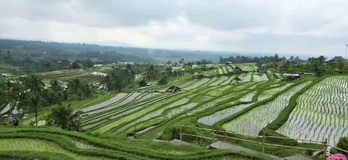 The Evitel Resort Ubud Circondario Photos