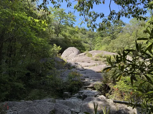 Yakushima Green Hotel Near Hotel Photos