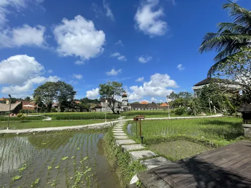 Plataran Ubud Hotel & Spa Dekat Hotel Photos