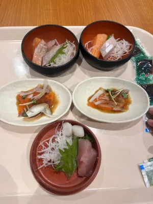 Yunokawa Kanko Hotel Shoen Restauration Photos