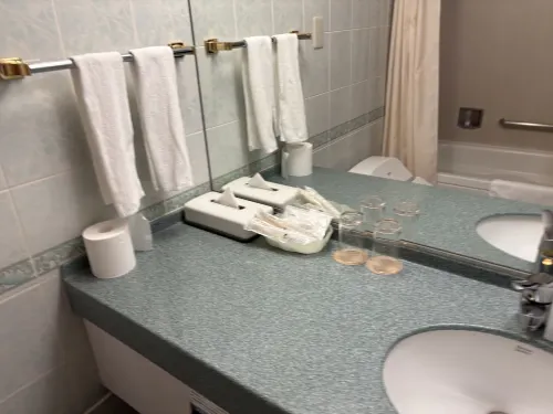 International Garden Hotel Narita Rooms Photos