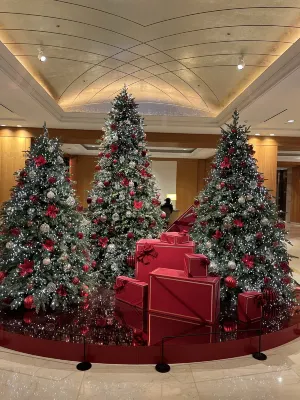 Lotte Hotel Seoul Executive Tower Public Areas Photos