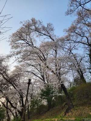 대전 베스트인시티 호텔 호텔 주변 Photos