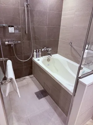 Daiwa Roynet Hotel Tokyo Kyobashi Premier الغرف Photos