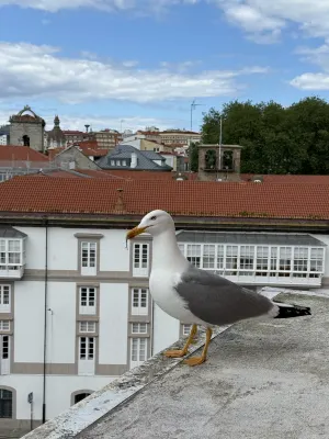 NH Collection Finisterre Near Hotel Photos