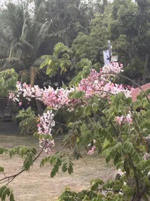 Tantai Eco Farm Stay at Khao Yai 호텔 주변 Photos
