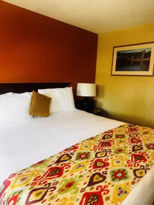 Sandpiper Lodge - Santa Barbara Chambres Photos
