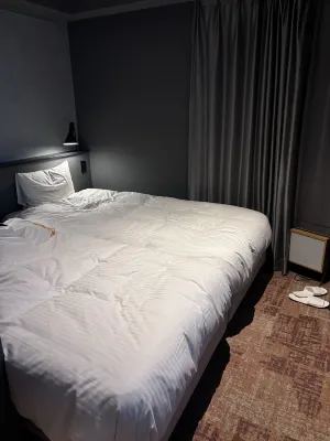 Lof Hotel Shimbashi Номера Photos