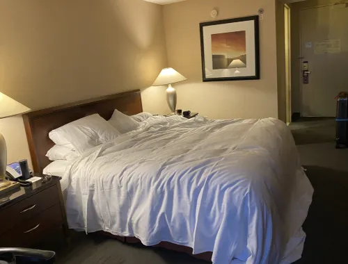 Hilton Chicago O'Hare Airport Rooms Photos