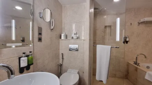 Ramada Plaza by Wyndham Dubai Deira Rooms Photos