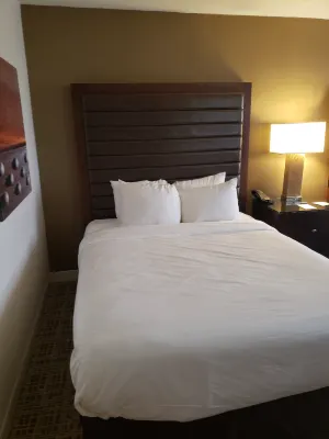 Renaissance St. Louis Airport Hotel Rooms Photos
