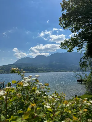 Hotel Stadler am Attersee Near Hotel Photos