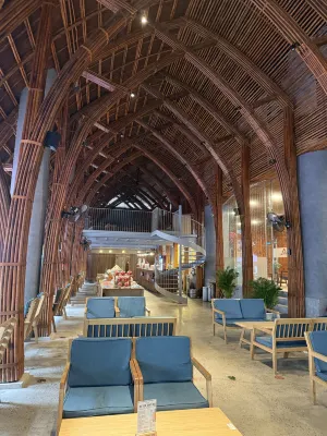 Avatar Danang Hotel Public Areas Photos