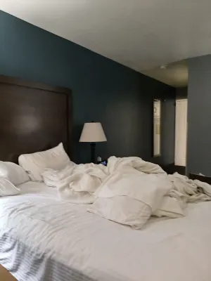 Quality Inn & Suites Airport West Rooms Photos