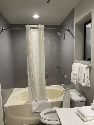 Alexis Park All Suite Resort Rooms Photos