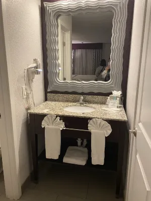 Clarion Inn & Suites Across from Universal Orlando Resort Rooms Photos
