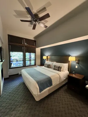 Evolution Whistler Rooms Photos