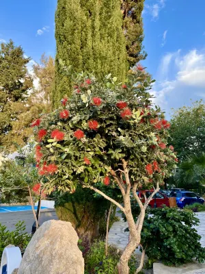 Paphos Gardens Holiday Resort Photos