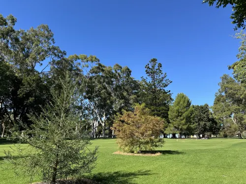 Tribe Perth Kings Park À proximité de l'hôtel Photos