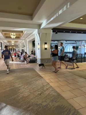 The Westin Lake Las Vegas Resort & Spa Area Publik Photos