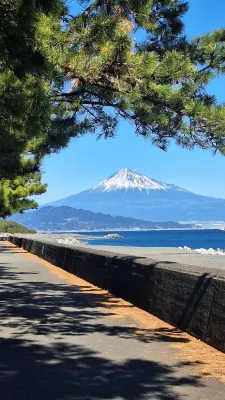 Shimizu City Hotel Circondario Photos