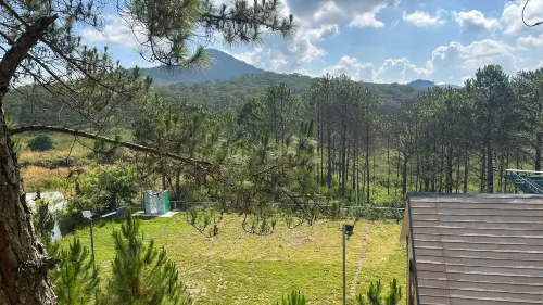 Rừng Lá Kim Resort Xung quanh Photos