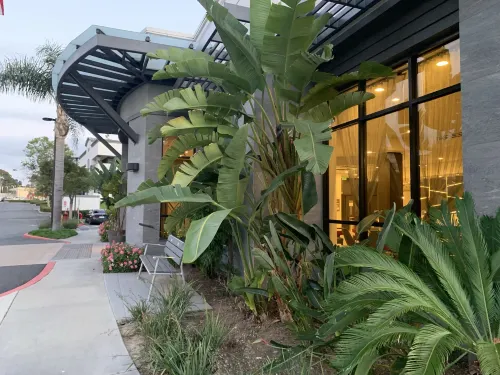 Hilton Garden Inn Irvine Spectrum Lake Forest Photos