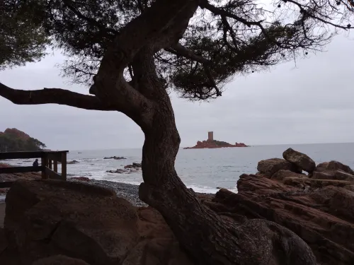 Résidence Le Méditerranée - Saint Raphaël - Vacances Bleues À proximité de l'hôtel Photos