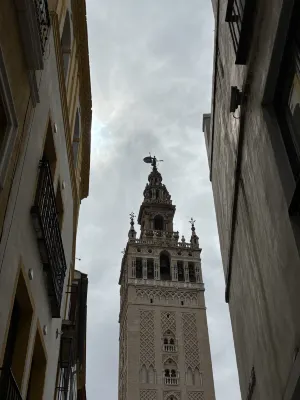 Azz Sevilla Torre de la Plata Apartamentos Dekat Hotel Photos