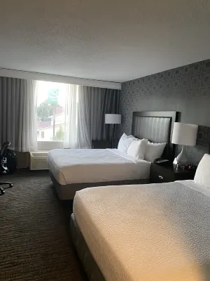 Hilton Garden Inn New York Manhattan Midtown East Rooms Photos