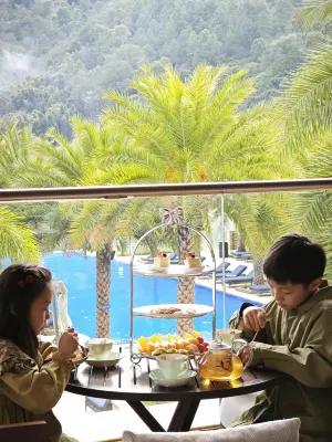 Springwoods Club Palm Tree Hotel Dining Photos